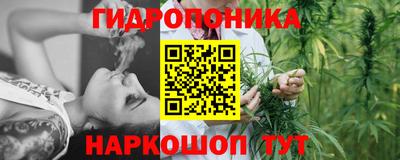 спайс Можга