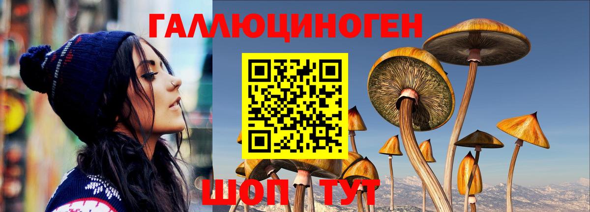 Галлюциногенные грибы мухоморы Семёнов